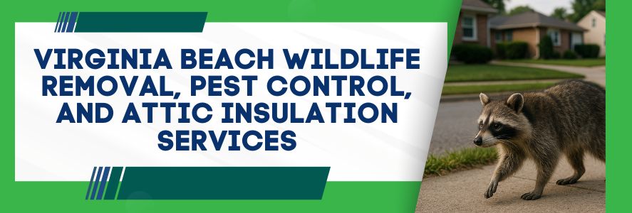 Virginia Beach Wildlife Removal, Pest Control, and Attic Insulation Services